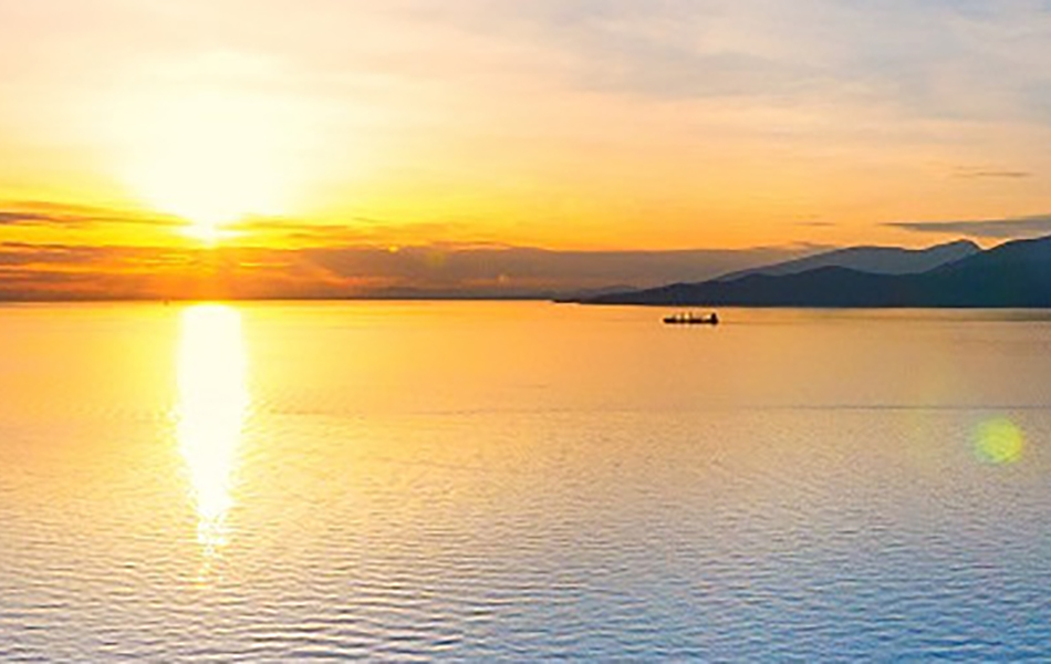 50th Anniversary of the Linguistics Department