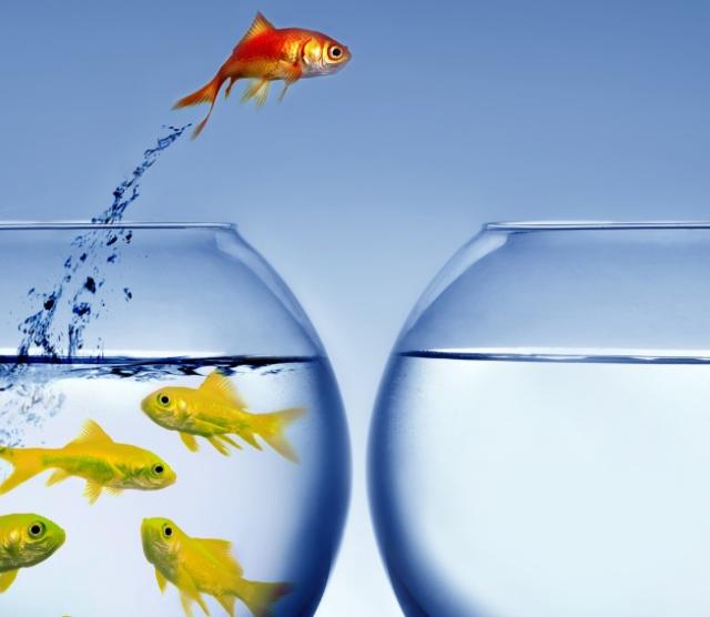 Fish leaping out of its bowl towards another fishbowl. 