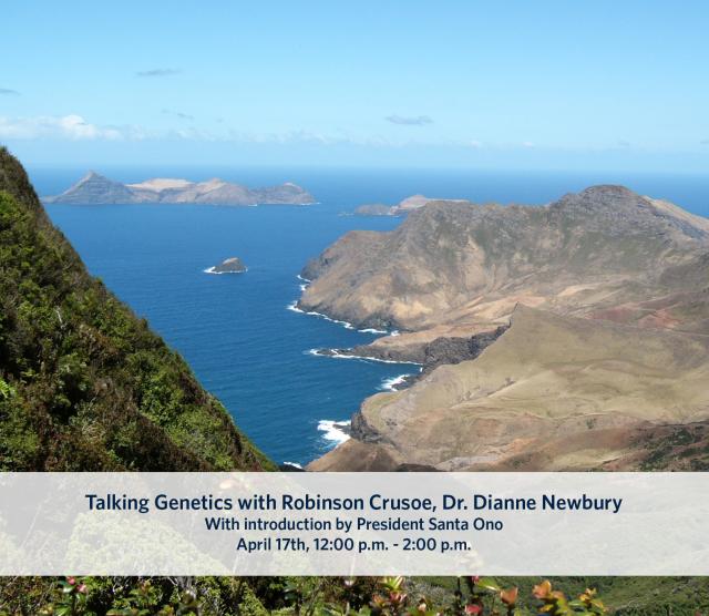 A picture of Robinson Crusoe Island, looking out to sea.