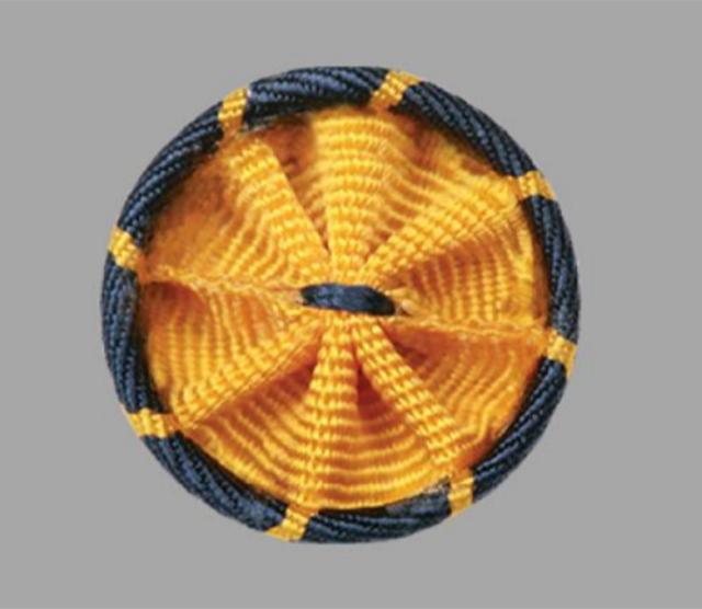 The newly elected AAAS Fellows will receive rosette pins in gold and blue, colors symbolizing science and engineering. Image credit: AAAS 