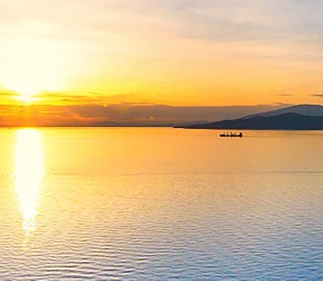 50th Anniversary of the Linguistics Department