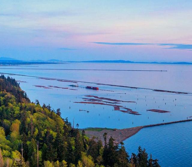 This picture shows a view out over the Georgia Strait, overlooking the logging bay by Marine Drive
