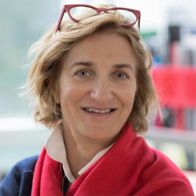 A headshot of Luisa Canuto wearing a scarf and reading glasses on her head